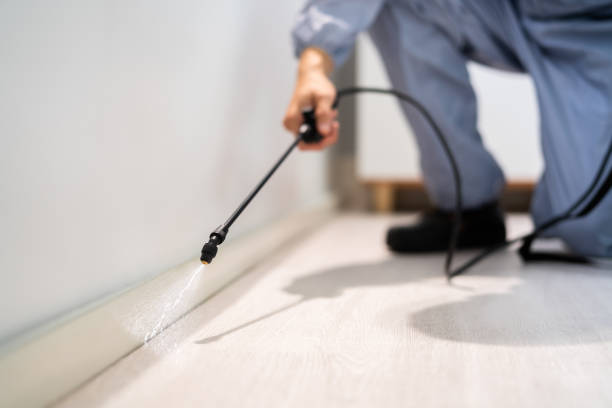 Professional exterminator conducting IPM assessment in Collinsville